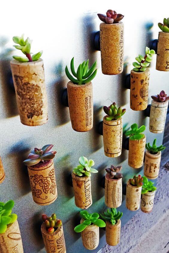 35 eye-catching indoor wall decor ideas with plants that will inspire you - 247