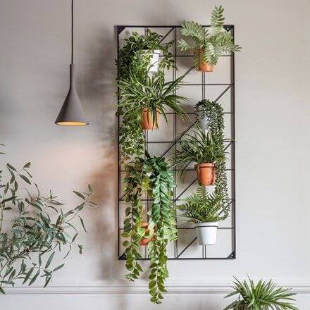 35 eye-catching indoor wall decor ideas with plants that will inspire you - 255