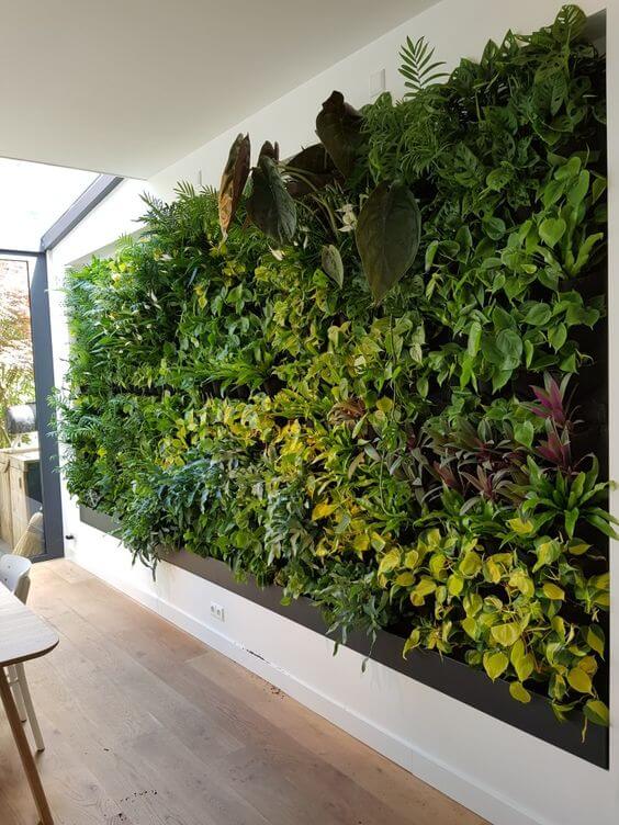35 eye-catching indoor wall decor ideas with plants that will inspire you - 267