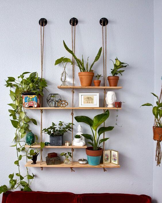 35 eye-catching indoor wall decor ideas with plants that will inspire you - 275