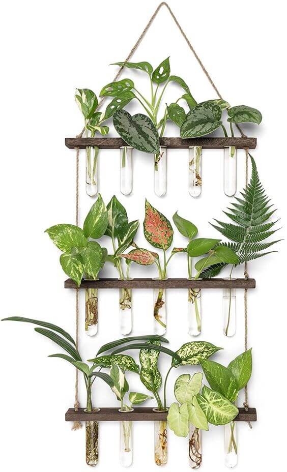 35 eye-catching indoor wall decor ideas with plants that will inspire you - 279