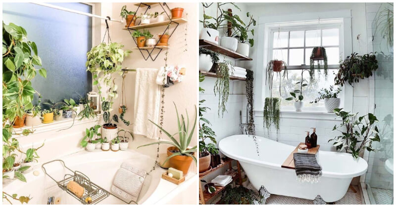 Inspirational hanging plant ideas for your bathroom from Instagram