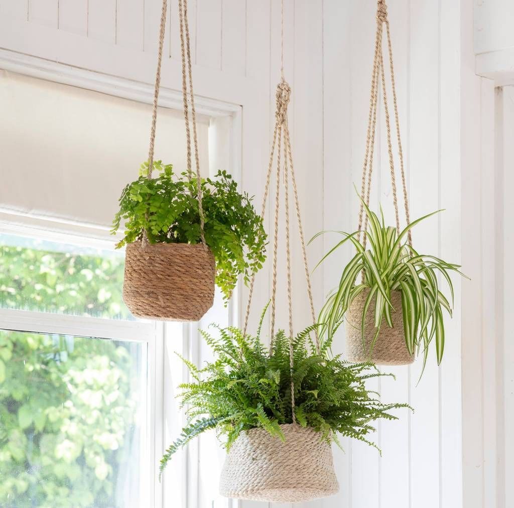 18 unique hanging basket ideas for your houseplant - 75