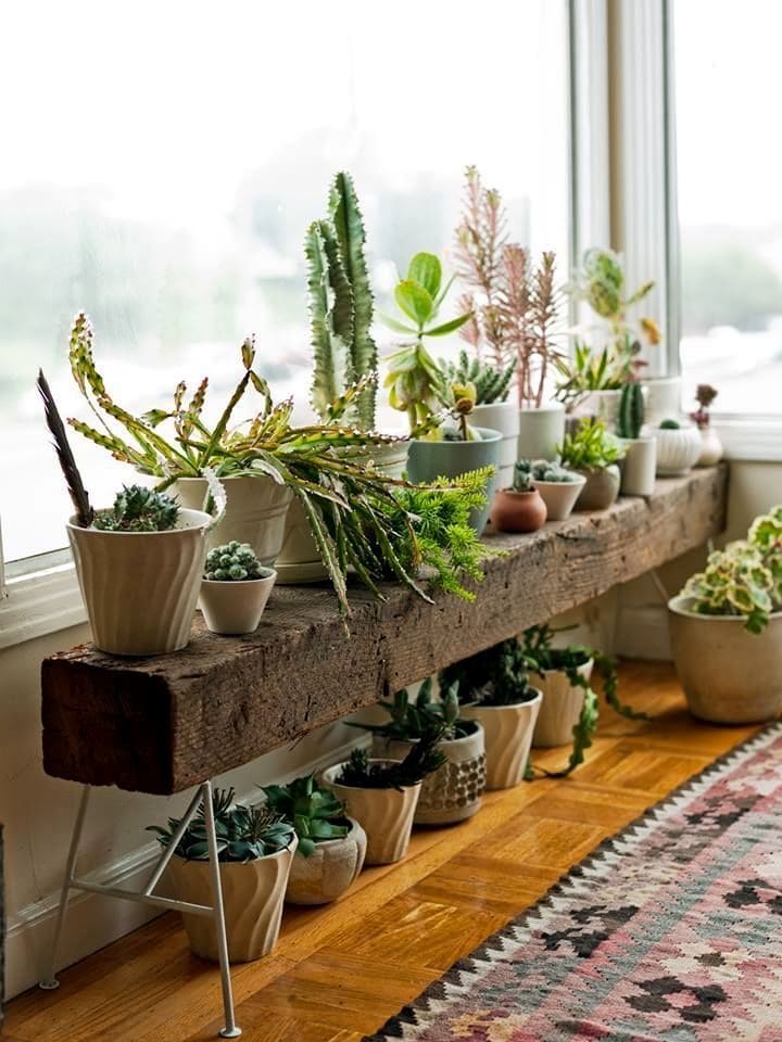 30 beautiful shelves for plants to take away - 103