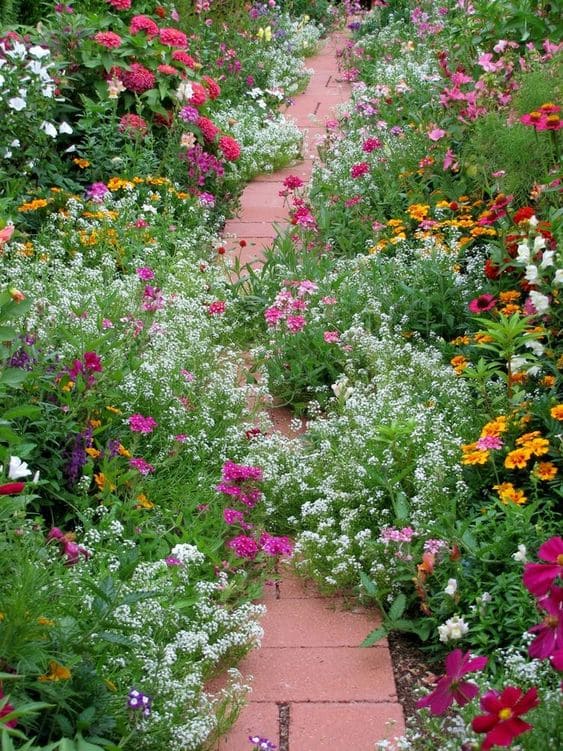 Beautiful flower path ideas for your garden - 83