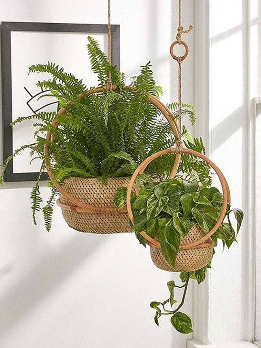 18 unique hanging basket ideas for your houseplant - 81