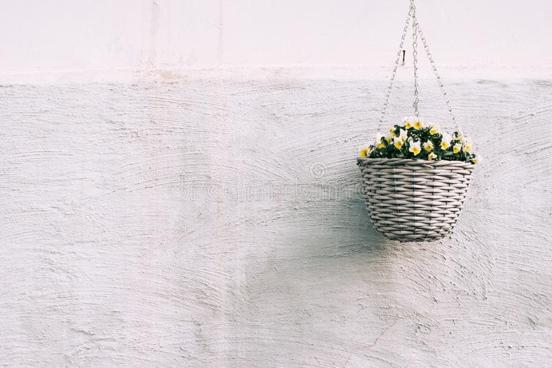 18 unique hanging basket ideas for your houseplant - 89