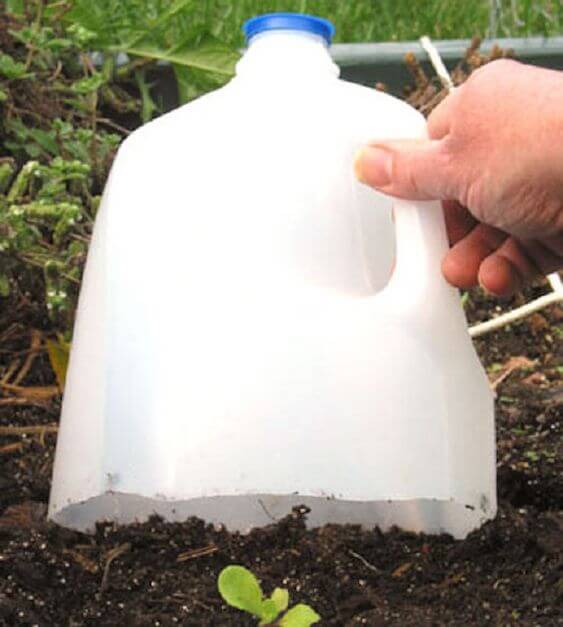 Useful plastic milk jug craft ideas for your home and garden - 121