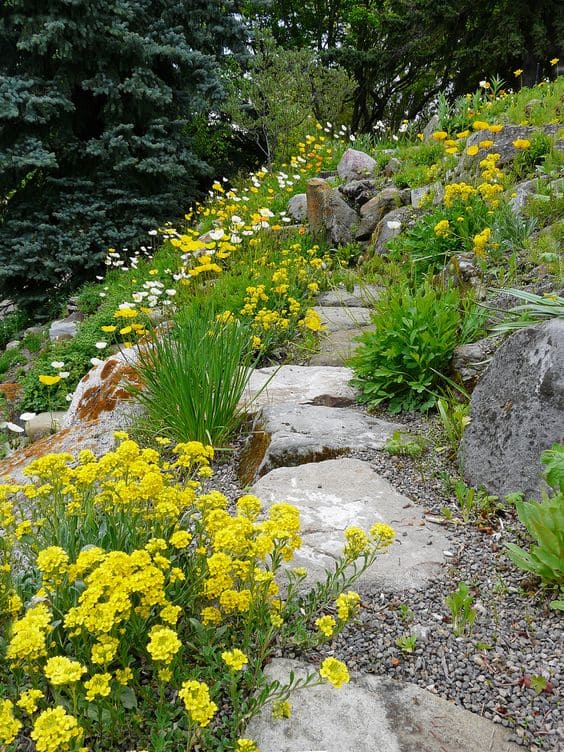 Beautiful flower path ideas for your garden - 79
