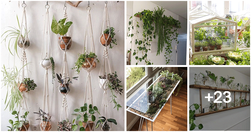 28 creative small indoor gardens for home decor
