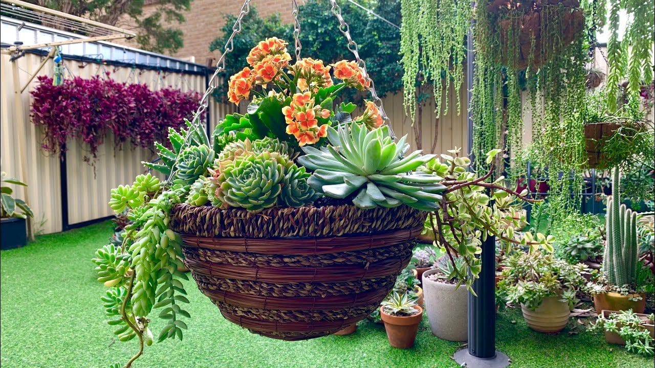 28 Unique Succulent Hanging Garden Ideas - 67