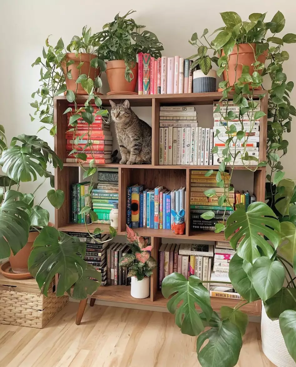 22 perfectly styled plant shelf ideas to decorate your home