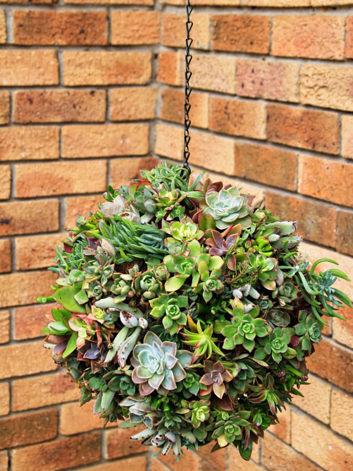 25 fascinating ideas to build a hanging mini succulent garden - 83