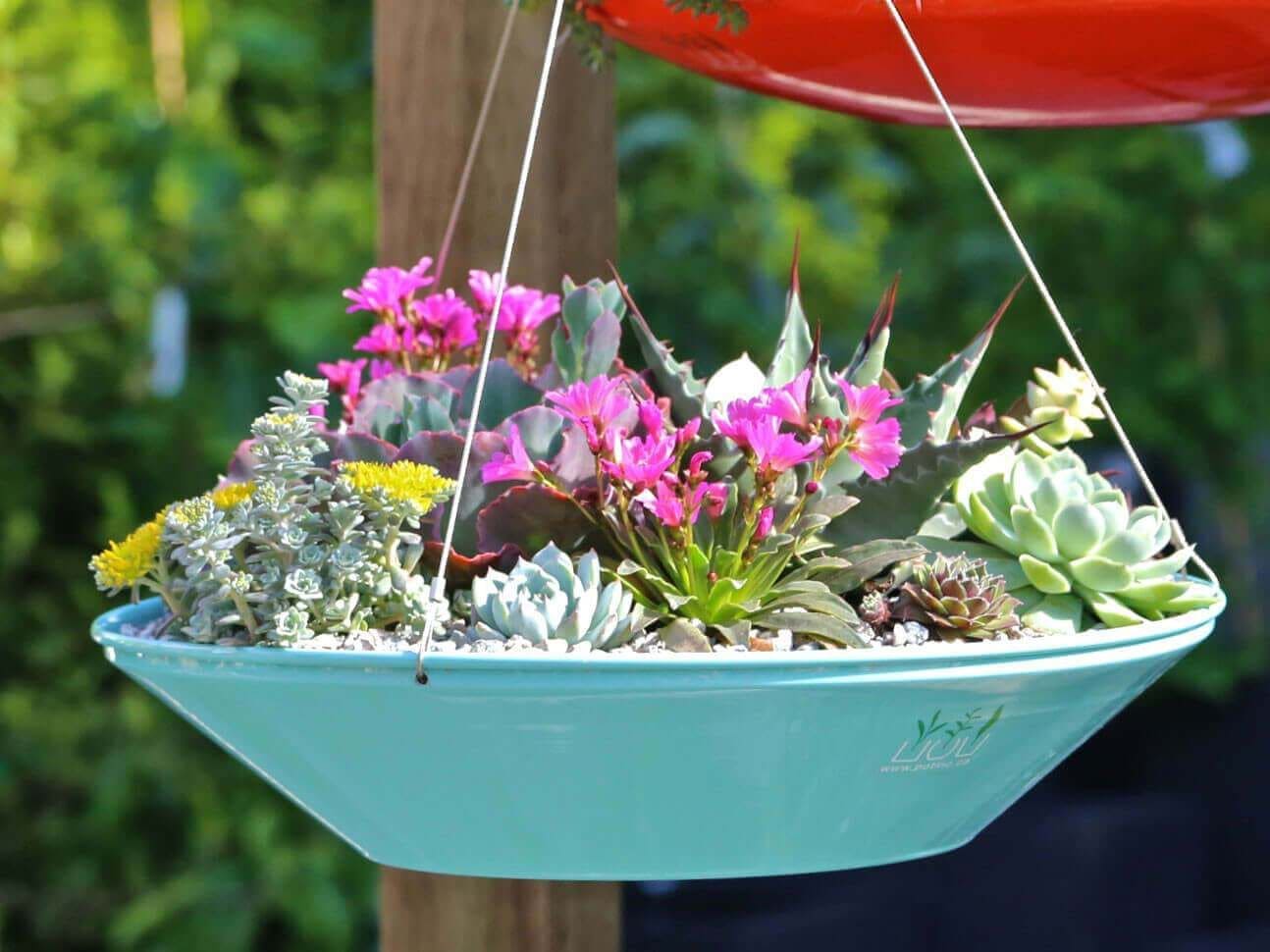 28 Unique Succulent Hanging Garden Ideas - 69
