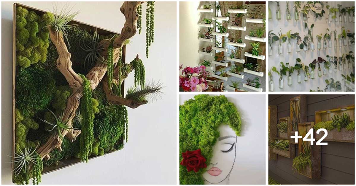 Stunning Ways to Display Plants in Your Living Space