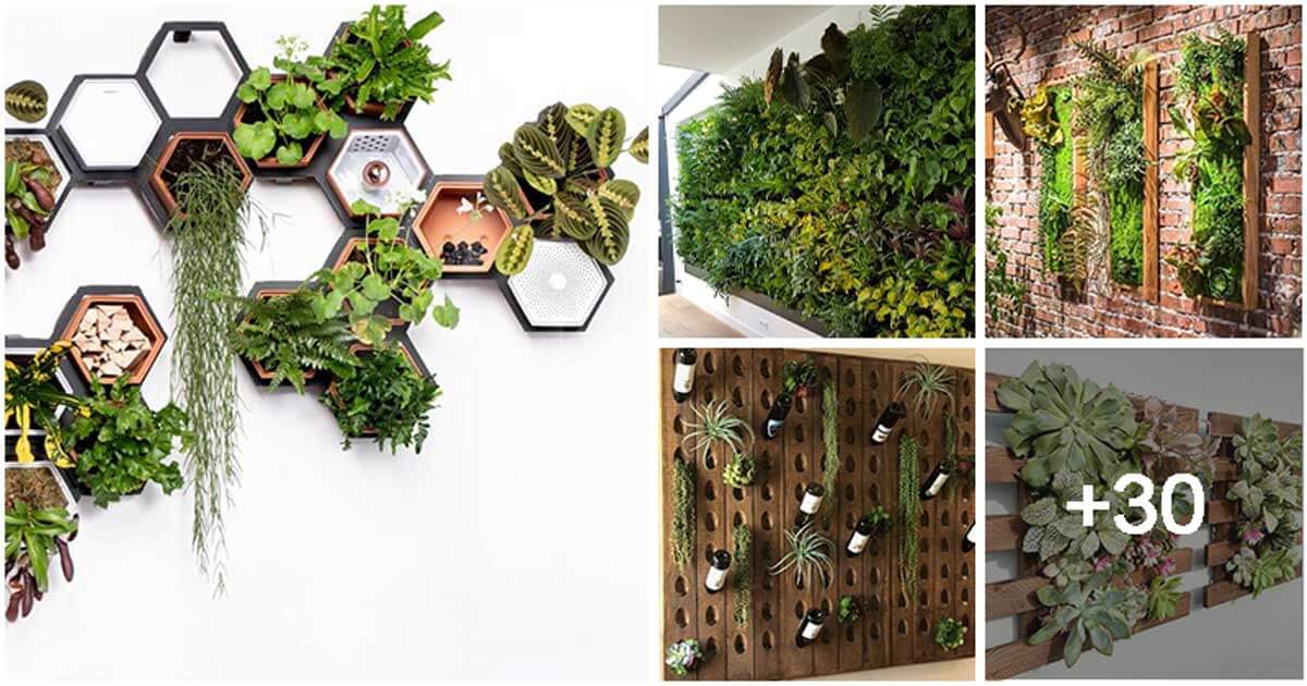 35 eye-catching indoor wall decor ideas with plants that will inspire you