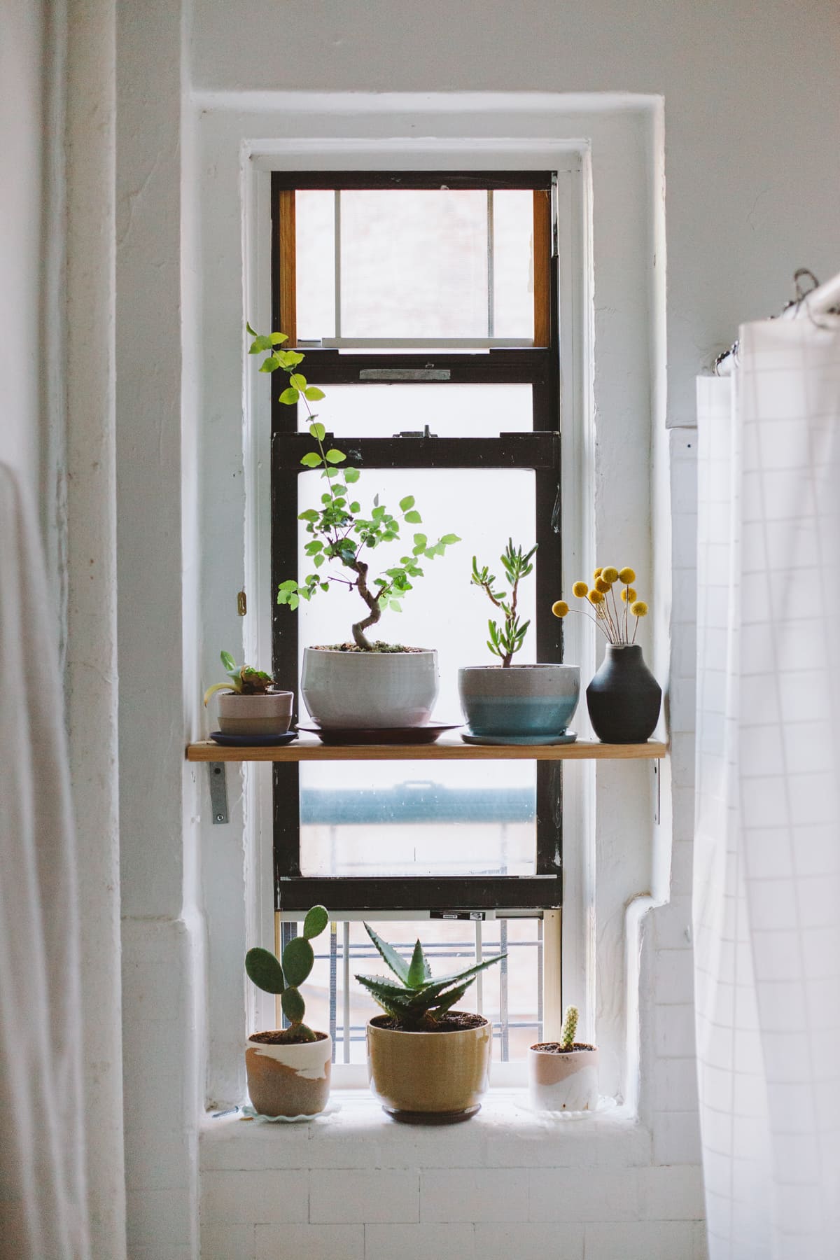 20 best ideas to make your own bathroom plant shelves - 135