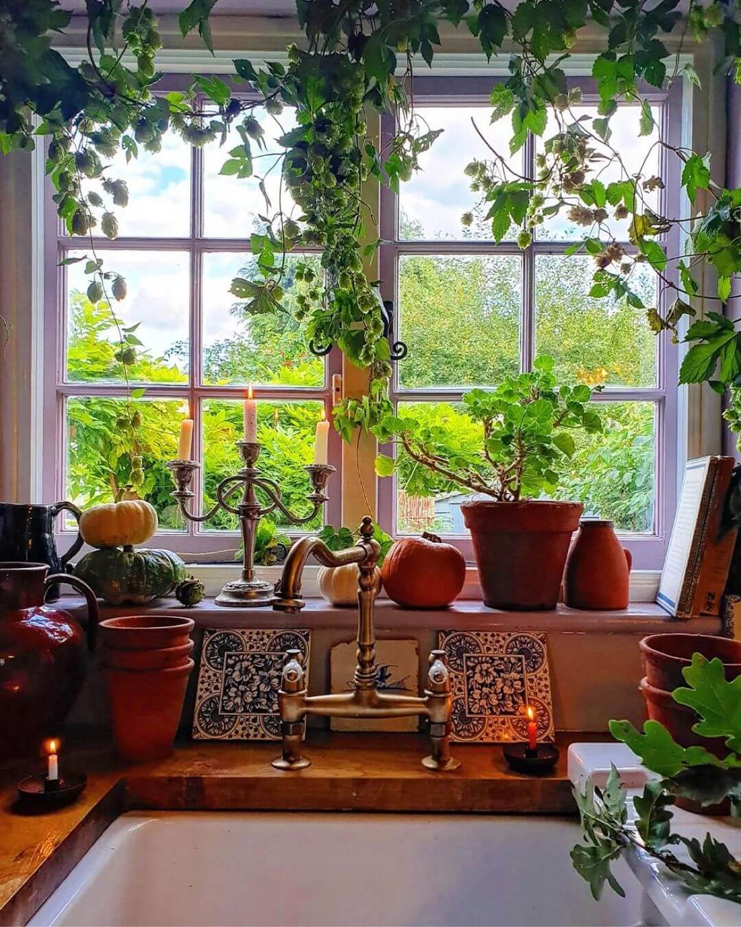 35 best window garden and landscape ideas - 275