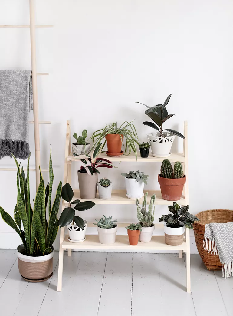 22 perfectly styled plant shelf ideas to decorate your home - 83