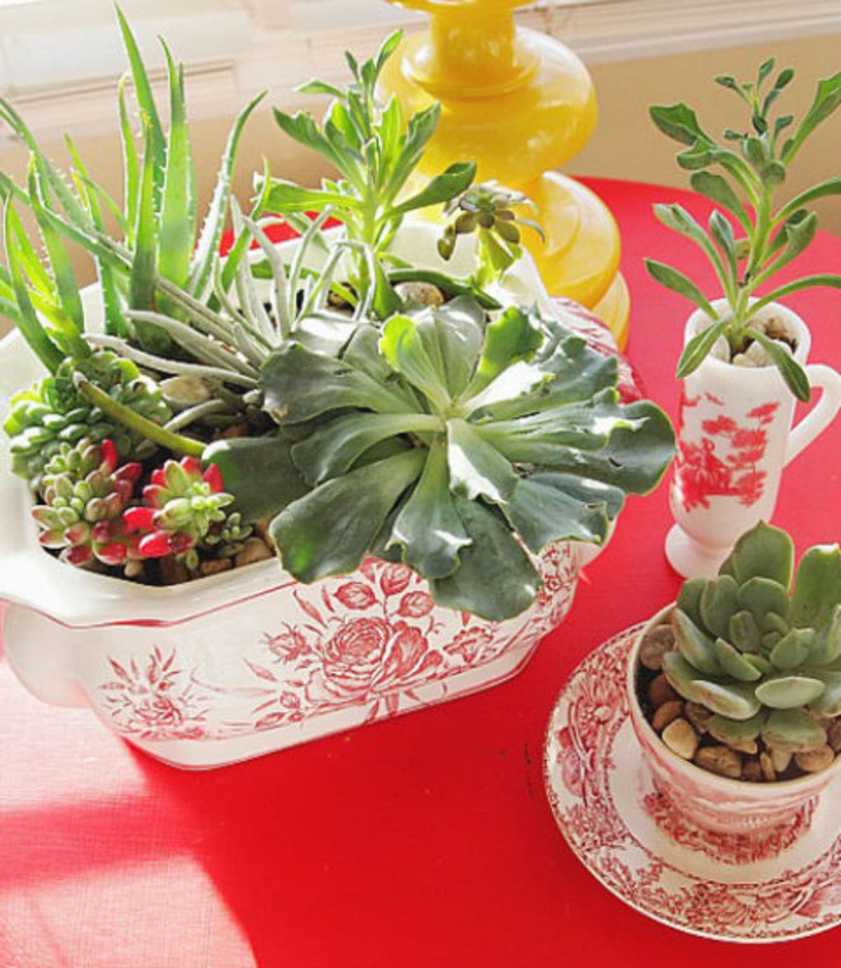 23 Smart Miniaturized Indoor Garden Ideas - 67