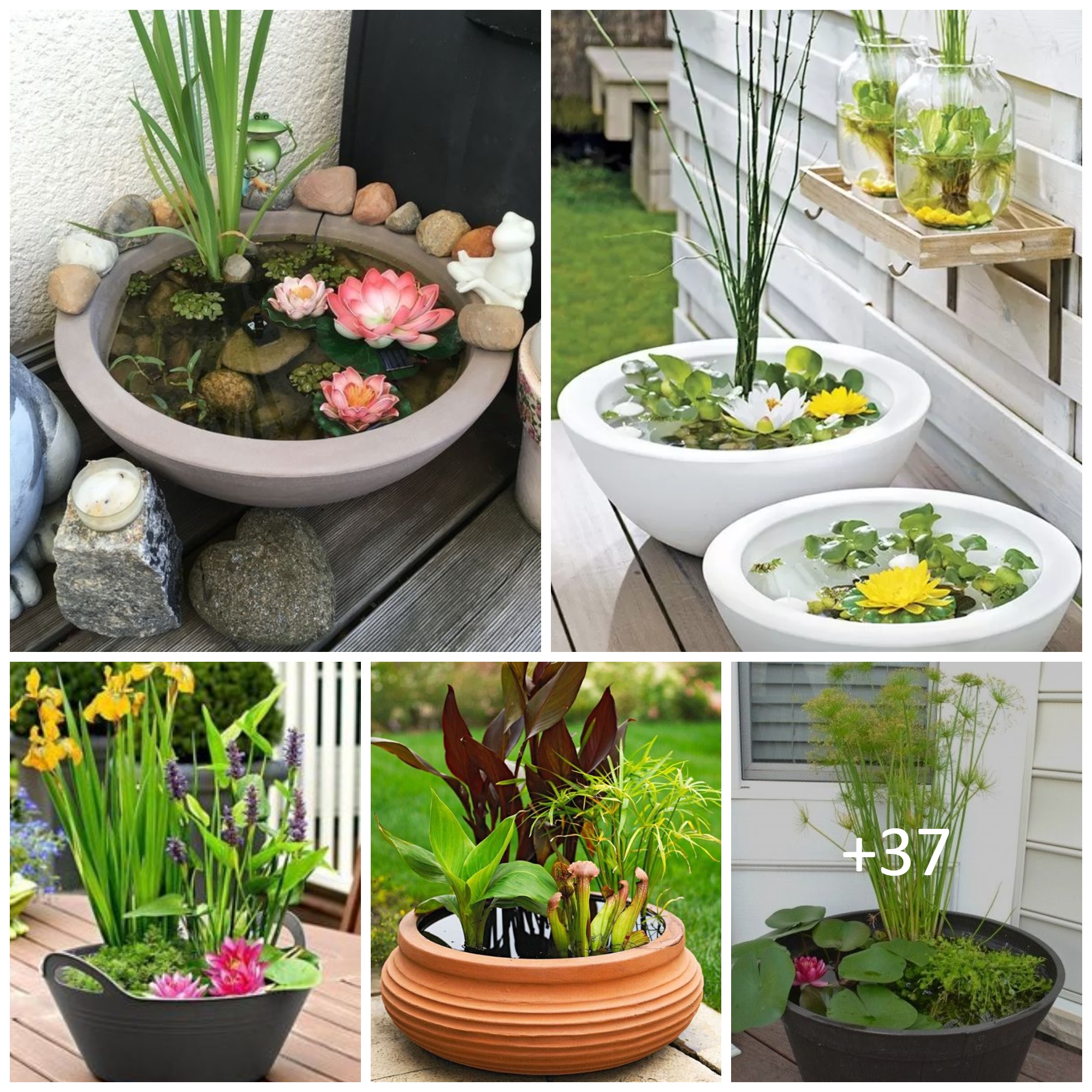 Spectacular Outdoor Mini Water Garden Ideas