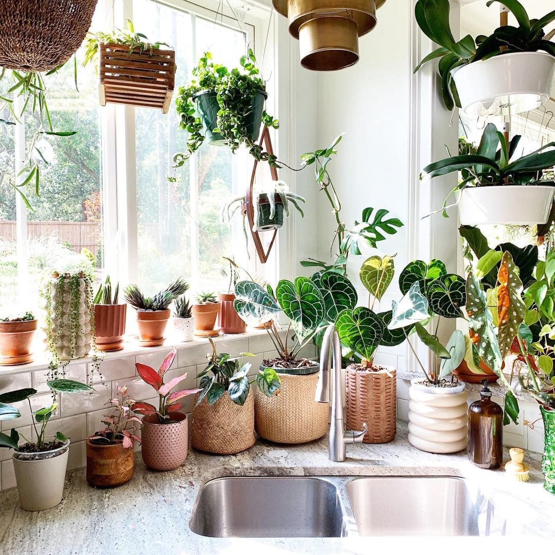 30 stunning indoor garden trends you will be following this year - 103