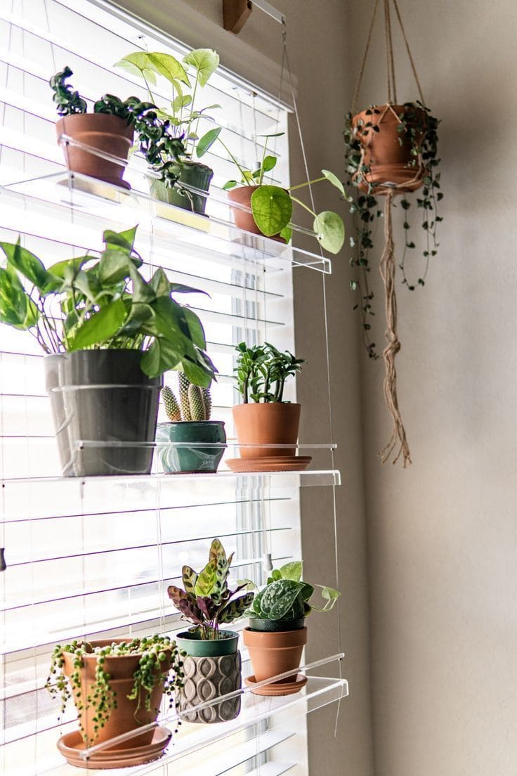 30 beautiful shelves for plants to take away - 123