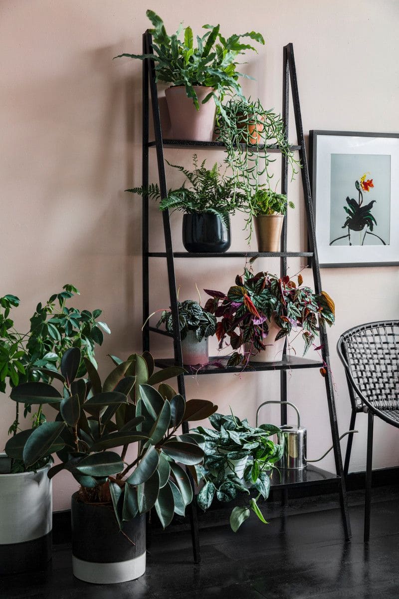 30 beautiful shelves for plants to take away - 109