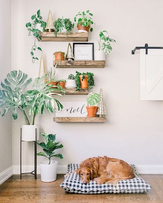 28 beautiful plant shelves for your home - 107