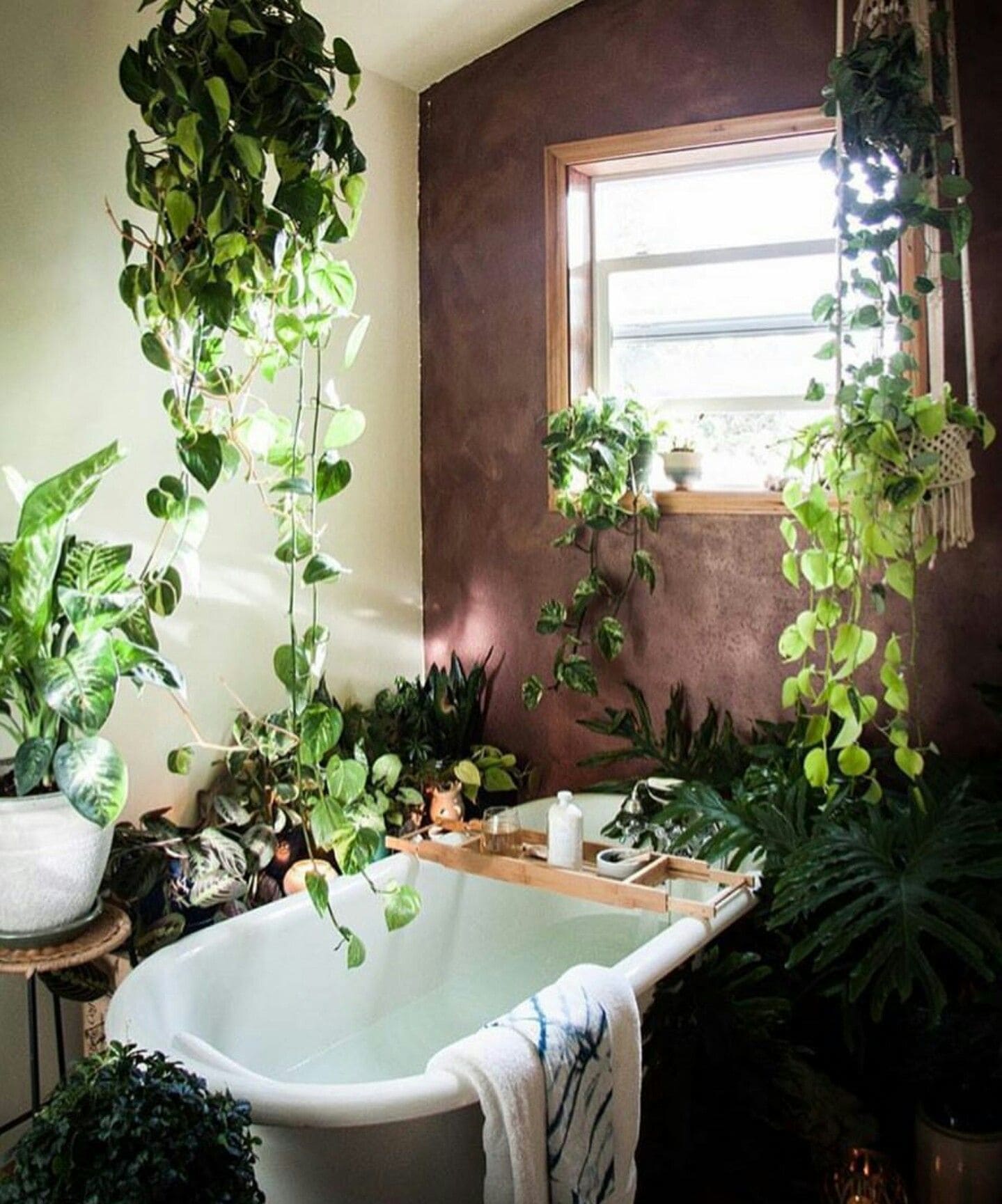 16 Stunning Bathroom Garden Ideas - 81