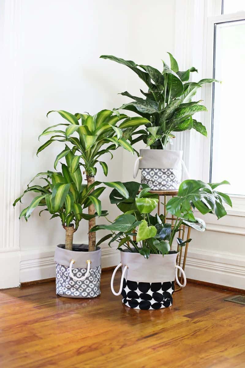 20 eye-catching DIY houseplant pot ideas - 151