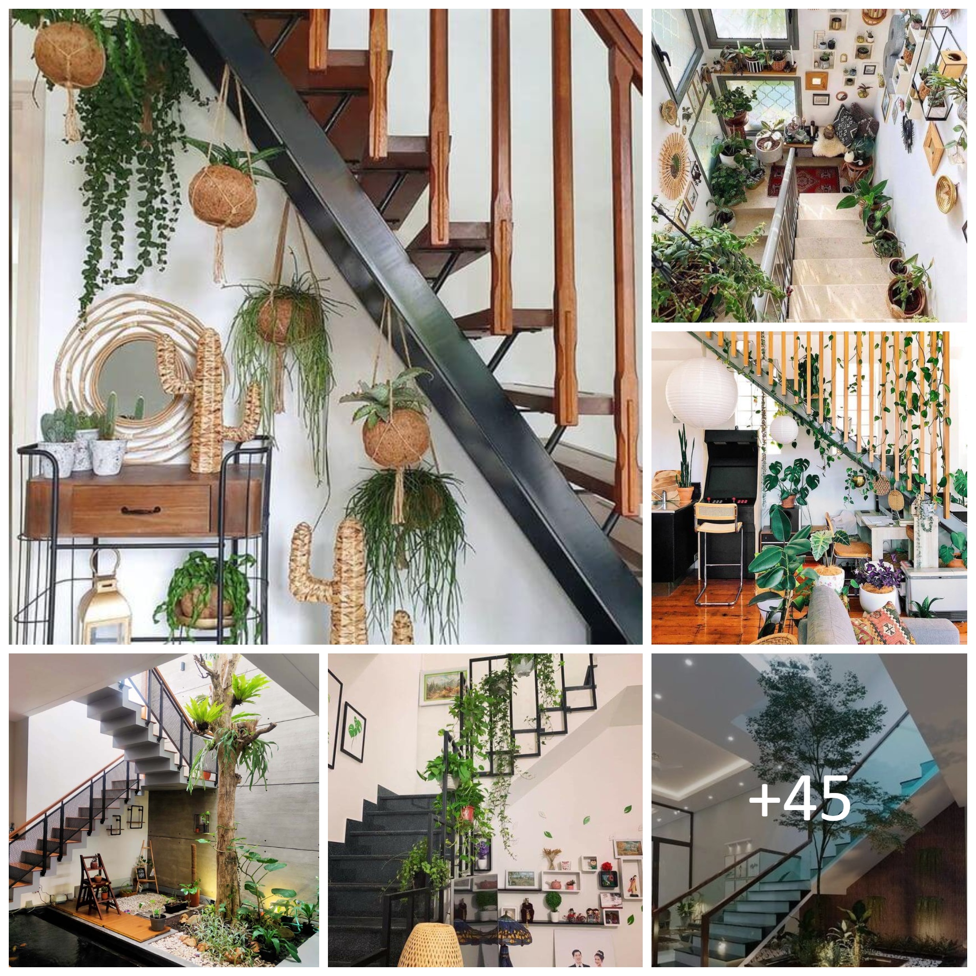 Most Amazing Staircase with Plant Ideas for Homes