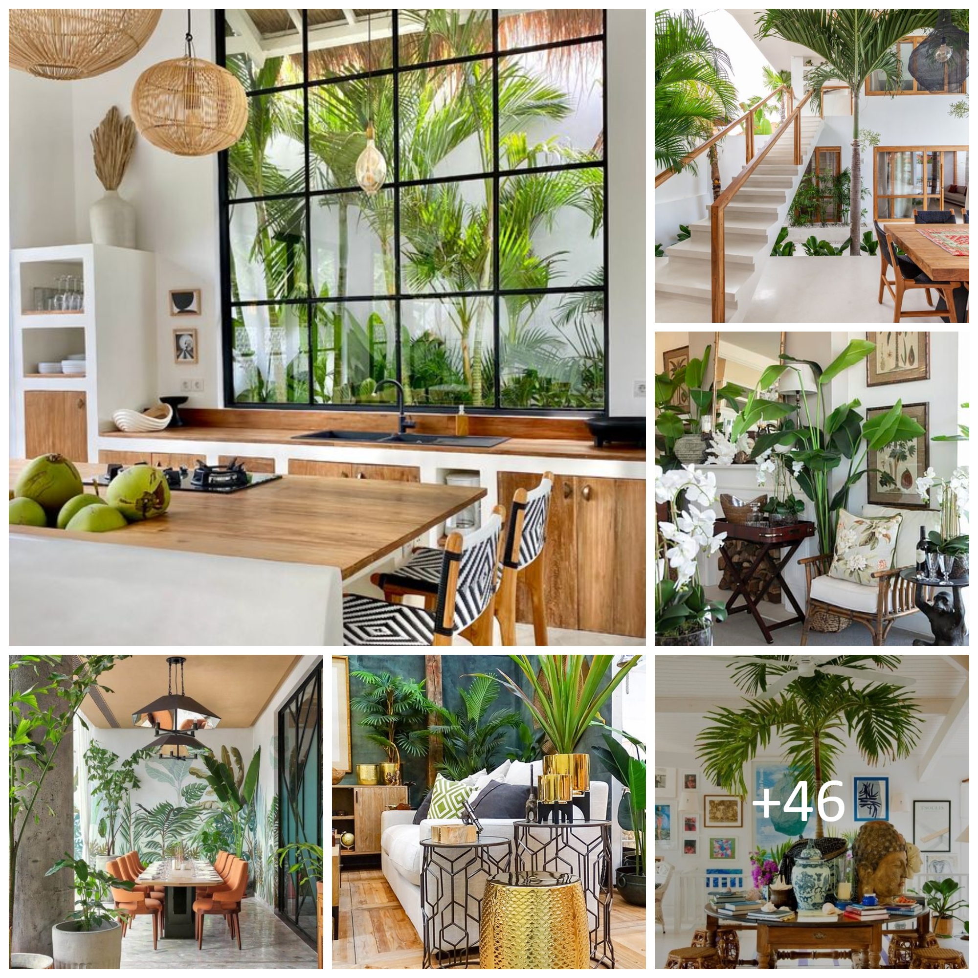 Trendy Tropical Interior Designs to Beautify Your Space